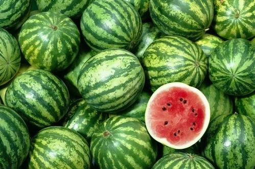 看西瓜吃瓜视频的软件有哪些,轻松追剧，畅享娱乐时光