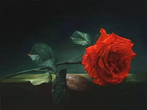 有人捡玫瑰瓜吃吗视频,揭秘玫瑰瓜的神秘魅力与食用之谜