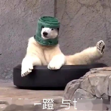 沙雕小视频吃瓜,笑料百出，欢乐无限