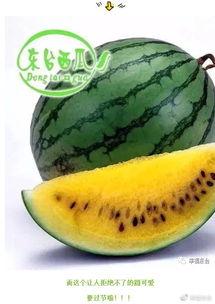 东台吃瓜事件真相视频,揭秘真相背后的惊人内幕