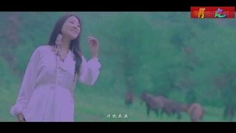 月光18度吃瓜视频下载,揭秘吃瓜视频背后的下载奥秘