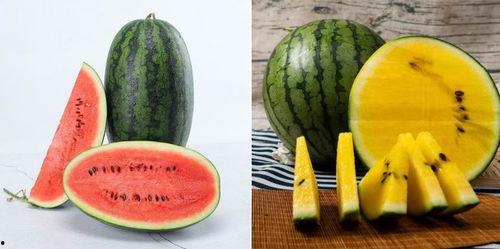 中国吃瓜完整视频,一场全民参与的视觉盛宴