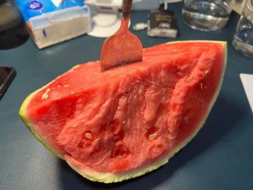 吃西瓜不洗瓜会中毒吗视频,西瓜未洗净食用真的会中毒？揭秘真相