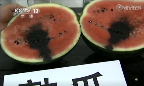 缅北的外网视频吃瓜,揭秘神秘势力背后的“吃瓜”风云